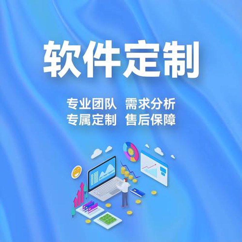 把握未来：山东软件开发行业趋势洞察